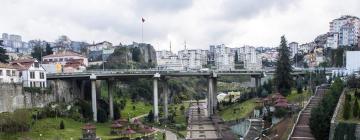 Apartamentos em: Trabzon Province