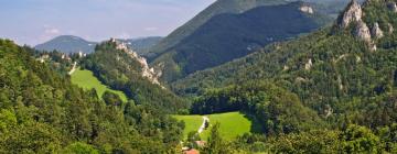 Semmering-Rax-Schneeberg: hotel spa