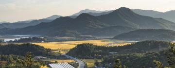 Hôtels dans cette région : Chungcheongbuk-Do