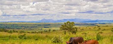 Lilongwe City – lacné hotely