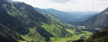 Hôtels dans cette région : Quindio