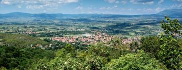 Viesnīcas reģionā Sokobanja Spa