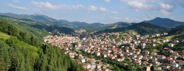 Külalistemajad regioonis Smolyan Province 