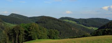 Canton Basel-Landschaft: appartamenti