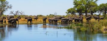 Lodges in Caprivi Strip