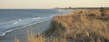 Готелі в регіоні Delaware Beaches