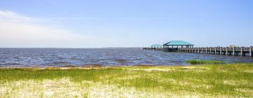 โรงแรมที่สัตว์เลี้ยงเข้าพักได้ในMississippi Gulf Coast