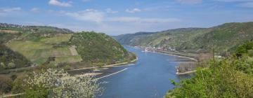 Maisons de vacances dans cette région : Rhine route