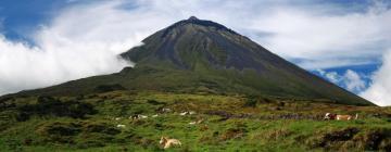 Alquileres vacacionales en Isla del Pico