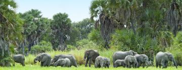 Cabañas en Reserva de caza Selous