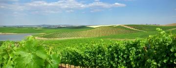 Фермерські будинки в регіоні Alentejo Wine Route