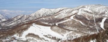 Хотели в района на Shiga Kogen