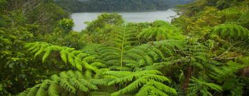 Viesnīcas reģionā Negros Oriental