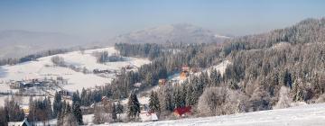 Hotely v regionu Silesian Beskids