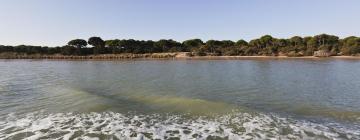 Strandhotell i Doñana National Park