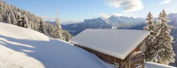 Apartamentos em: Mayrhofen-Hippach