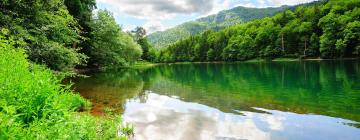 Lodges a Parc nacional de Biogradska Gora