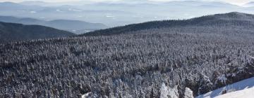 Hotely pro pobyt s domácími mazlíčky v regionu Killington Ski