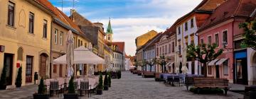 ที่พักให้เช่าในVaraždin County