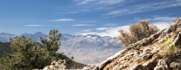 Bed and breakfasts en Eastern Sierra