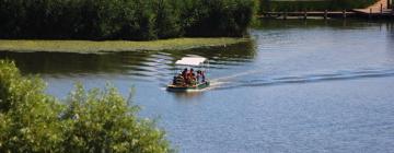 Appartements dans cette région : Lake Tisza