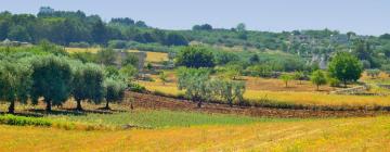 Hotéis-fazenda Rurais em: Vale d'Itria