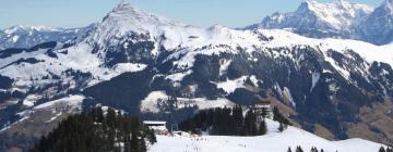 อพาร์ตเมนต์ในSkicircus Saalbach Hinterglemm Leogang Fieberbrunn