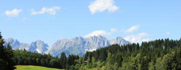 Aparthotels en Alpes de Kitzbühel