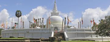 Mga hotel sa Anuradhapura District