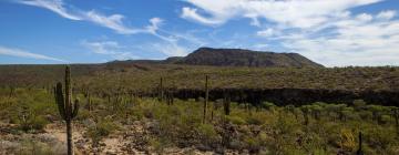 Majakesed regioonis Baja California