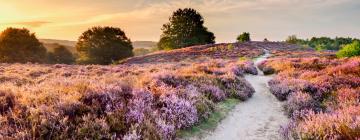 Hotel di Hoge Veluwe National Park