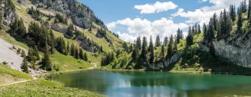 Hotels in Franse Alpen