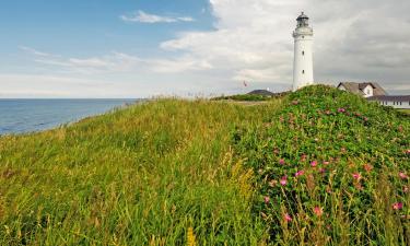 Jutland Settentrionale: hotel