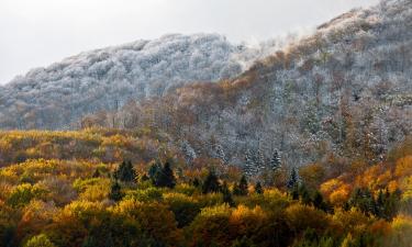 Mājdzīvniekiem draudzīgas viesnīcas reģionā Notranjska