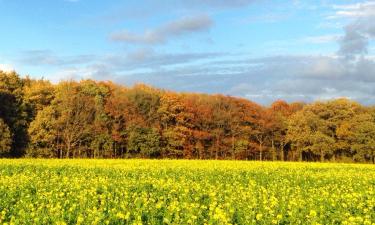 B&B di Flemish Brabant