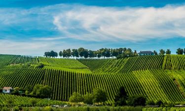 Hoteli sa spa centrom u regiji 'Luxembourg Mosel'