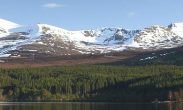 Mga Cabin sa Cairngorms