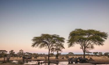 Hotels in Chobe