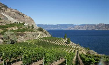 Hoteles que aceptan mascotas en Valle de Okanagan