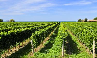 Casas de huéspedes en Cataratas del Niágara y País del vino