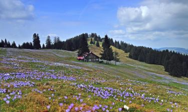 Ferienwohnungen in der Region Oberstaufen