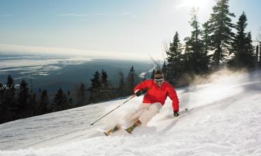 Hoteli pogodni za kućne ljubimce u regiji Mont Sainte-Anne