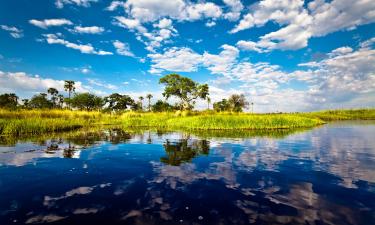 Okavango Delta 호텔