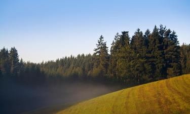 Huoneistot alueella Waldviertel