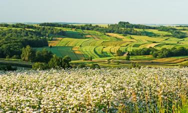 Kolibe u regiji 'Roztocze'