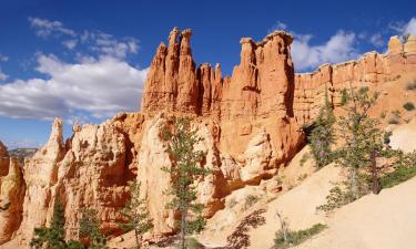 Hôtels dans cette région : Parc national de Bryce Canyon