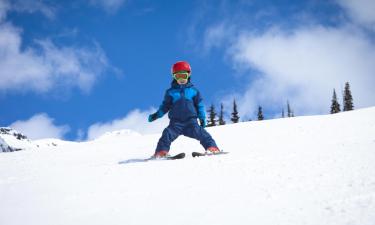 Fjölskylduhótel á svæðinu Metsovo Ski