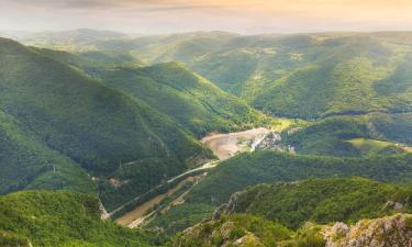 Holiday Rentals in Ovčar Banja Spa