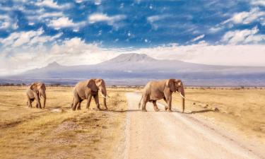 Amboseli National Park : lodge