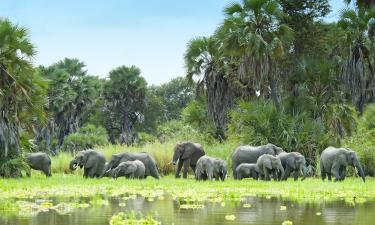 Lodge di Selous Game Reserve